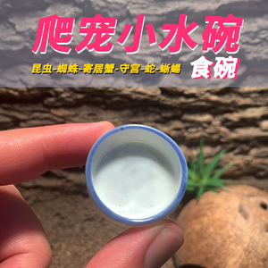 爬虫昆虫迷你陶瓷小水碗食盆蛐蛐螳螂蝈蝈蜘蛛蝎子守宫睫角果泥碗