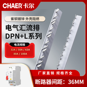 CHAER卡尔 DPN+L漏电保护1P+N空气开关32/40A紫铜接线36mm汇流排
