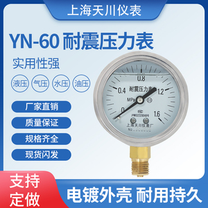 上海天川仪表厂YN-60耐震压力表40/25/1.6MPa充油防震真空气水液