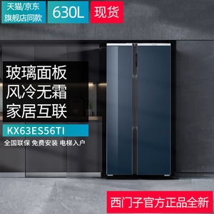 西门子冰箱630L KX63ES56TI对开双门气密保鲜舱智能变频app互联