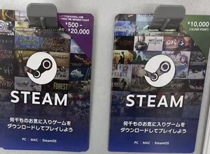 日本STEAM游戏 预付卡 10000日元充值卡 实体卡带小票