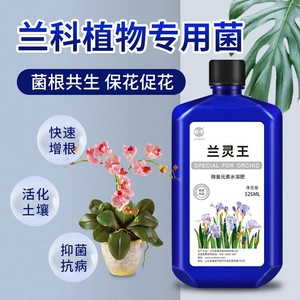 兰灵王微生物菌剂兰花专用营养液君德生物君子兰肥料生根EM菌液肥