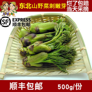 东北特产山菜刺嫩芽 新鲜刺老芽山野菜刺龙芽500克包邮顺丰