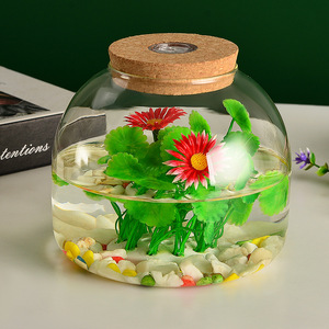 微景观生态瓶苔藓植物玻璃花瓶水培植物玻璃瓶鱼缸摆件斗鱼瓶带灯