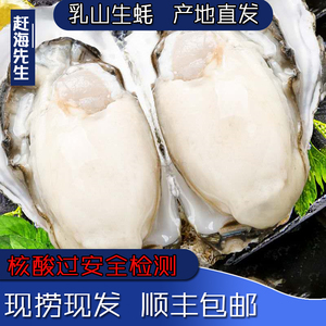 乳山生蚝鲜活5斤新鲜海蛎子即食水产特大海鲜牡蛎贝壳野生蚝10斤