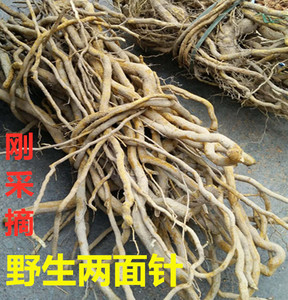 两面针中药材两面针根双面刺入地金牛两背针纯根下山虎500g中草药