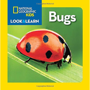 【外图原版】进口英文 美国国家地理 少儿儿童版 National Geographic Kids Look and Learn: Bugs 虫子 纸板书 STEAM系列