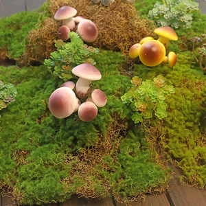仿真青苔苔藓植绒草皮橱窗DIY造景花艺阳台景观摆放装饰多肉蘑菇