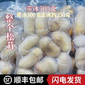 新货云南特产冰鲜速冻松茸 冰冻新鲜未开伞菇5-7cm香格里拉1000g