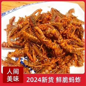 【24年新货】香脆蚂蚱油炸即食蝗虫昆虫孜然烧烤蚱蜢虫子小吃美食