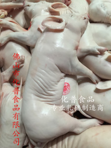 烤乳猪整只食材制造商精选优质脆皮新鲜6-7斤