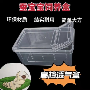 养蚕专用饲养箱蚕宝宝专用塑料养殖箱透气大号长方形盒子简易别墅