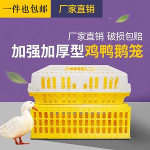 鸡笼周转箱 鸡笼子运输养殖塑料家用大号特大筐 成鸡鸭鹅鸽子家禽