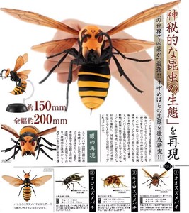 现货 bandai万代 神秘的昆虫生态 拆拼组装 大黄蜂 扭蛋