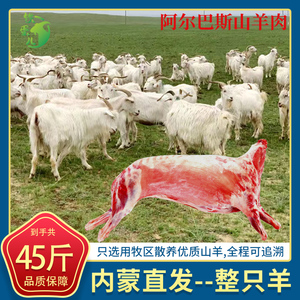 内蒙古阿尔巴斯新鲜现 杀羊肉散养山羊肉 烤全羊 生羊肉 整只30斤
