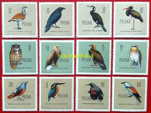 波兰1960 鸟类 大鸨 渡鸦 鸬鹚 黑鹳 金雕 翠鸟 旋壁雀等 12全新