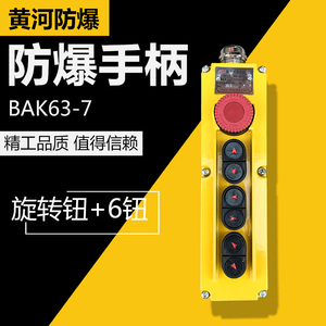 BAK63型防爆控制手柄 单速7钮隔爆型控制按钮 防爆电动葫芦配件