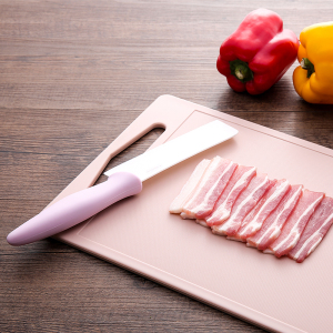 日式加厚塑料菜板砧板家用防霉厨房刀板占板分类用水果案板切菜板