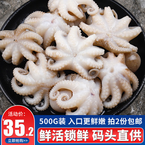 章鱼鲜活冷冻小章鱼迷你大爆头500g青岛海鲜水产新鲜八爪鱼