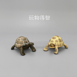 认知仿真爬行动物模型摆件papo加拉帕戈斯象龟 陆龟静态模型玩偶