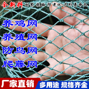 养殖网养鸡网尼龙网拦鸡网围鸡塑胶网护栏网菜园围网防护网