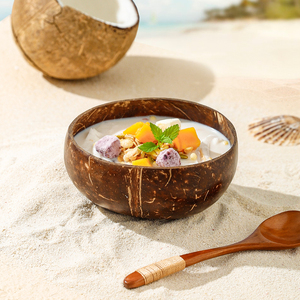 川岛屋酸奶碗带勺木碗水果沙拉甜品碗家用早餐燕麦片天然椰子壳碗