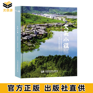 大美小镇 中国特色小镇田园建筑综合体案例解读 乡村规划设计书籍