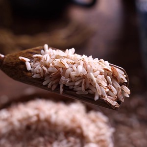 云南红米糙米哈尼梯田红软米2斤元阳新米杂粮红大米营养糙米饭
