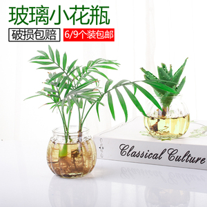 小花瓶欧式创意简约水培绿萝植物透明玻璃瓶小清新装饰摆件插花瓶