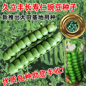 豌豆种子种籽甜脆青碗豆种青豆台湾长寿仁四季秋冬季孑豌豆种