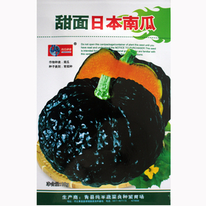 【甜面日本南瓜种子】四季播种籽甜如蜜面粉甜疙瘩型瓜果蔬菜种子