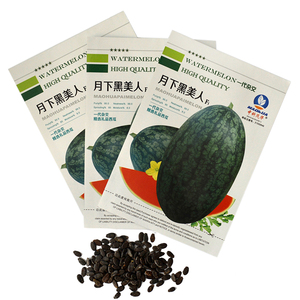 月下黑美人西瓜种子春季进口优质品种皮薄肉厚高档水果蔬菜瓜果籽