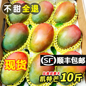四川攀枝花凯特芒果新鲜10应季斤水果芒果整箱包邮特大青忙果当季