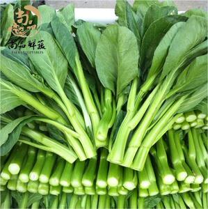 菜心新鲜宁夏菜心菜心苗菜杆菜苔供港品质一件多省包邮广东菜心