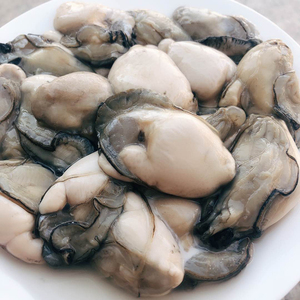 东山岛海捕海蛎肉新鲜500g鲜活冷冻水产纯肉生蚝海蛎子牡蛎不带壳