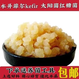 水开菲尔太阳菌红糖菌缇比水晶菌Water Kefir Grains水克菲尔菌种