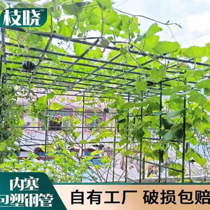 植物爬藤架户外遮阳车棚家用葡萄架黄瓜丝瓜豆角百香果阳台爬藤架