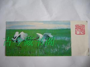 二手老贺年卡 明信片 带单顶鹤图的 80年代  怀旧收藏