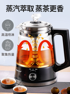 安化黑茶煮茶器小型全自动蒸汽家用黑茶壶专用喷淋式蒸茶壶