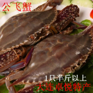 大连庄河海鲜 鲜活公飞蟹 新鲜梭子蟹大螃蟹当天捕捞鲜活发货