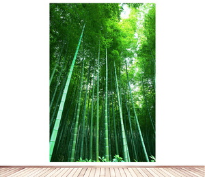 竹林竹子海报绿色护眼装饰画树林玄关过道走廊墙贴画风景自粘挂画
