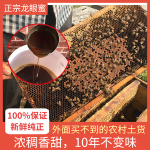 纯天然蜂蜜 纯正农家自产野生土蜂蜜正宗新鲜龙眼蜜花蜜桂圆蜜1斤