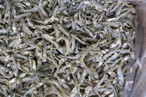 海燕鱼干500g一斤装海蜓鱼干小鱼仔干丁香鱼银鱼干特产海鲜干货
