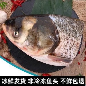 新鲜花链鱼头 胖头鱼头 鳙鱼头大头鱼 淡水鱼头 新鲜现杀海鲜水产