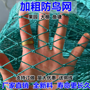 加粗尼龙大棚果园果树防鸟网鱼塘养殖葡萄园防鸟用网农用防鸟天网