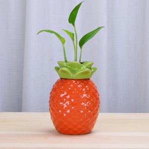 绿萝水培花瓶菠萝水养植物创意花器桌面摆件陶瓷花盆家居饰品装饰