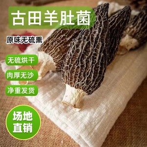 精品古田羊肚菌干货野生500g农家新鲜羊肚蘑特大毛肚菌非野生蘑菇