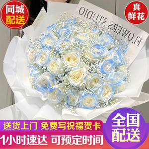 全国碎冰蓝玫瑰鲜花同城速递满天星生日礼物北京上海西安广州花店