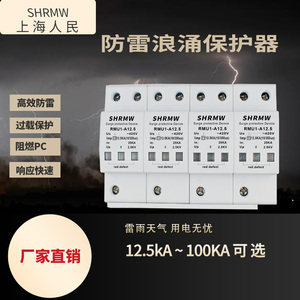 上海人民一级浪涌防雷保护器T1SPD 电源避雷器三相防雷开关
