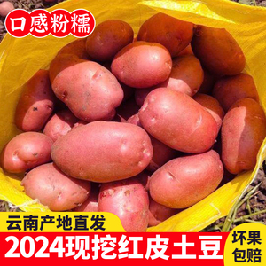 云南新鲜红皮黄心小土豆特产洋芋蔬菜大号马铃薯现挖5斤9斤